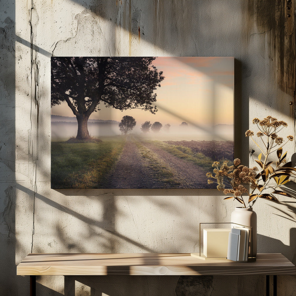 Mystischer Pfad | Leinwand