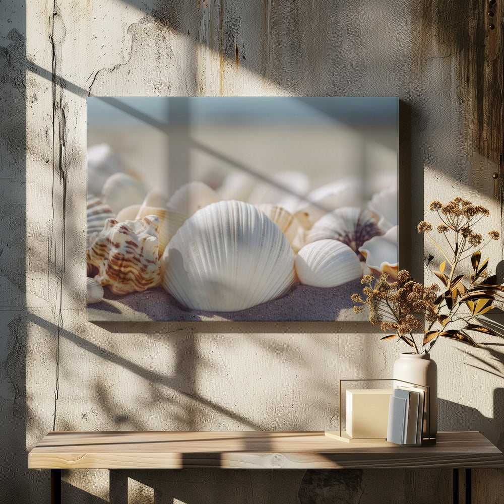 Muscheln am Meer | Leinwand