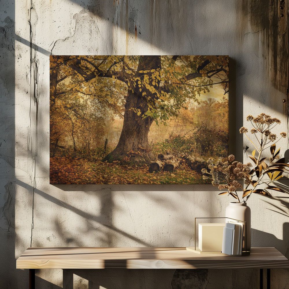 Alter Baum | Leinwand