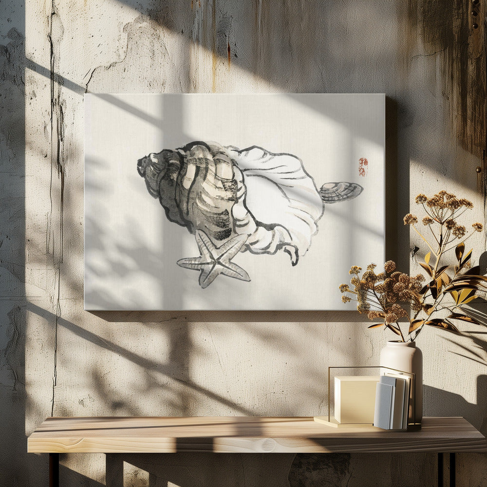 Seestern und Muschel | Leinwand