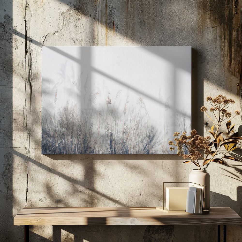 Landschaft aus Schilf und Gras | Leinwand
