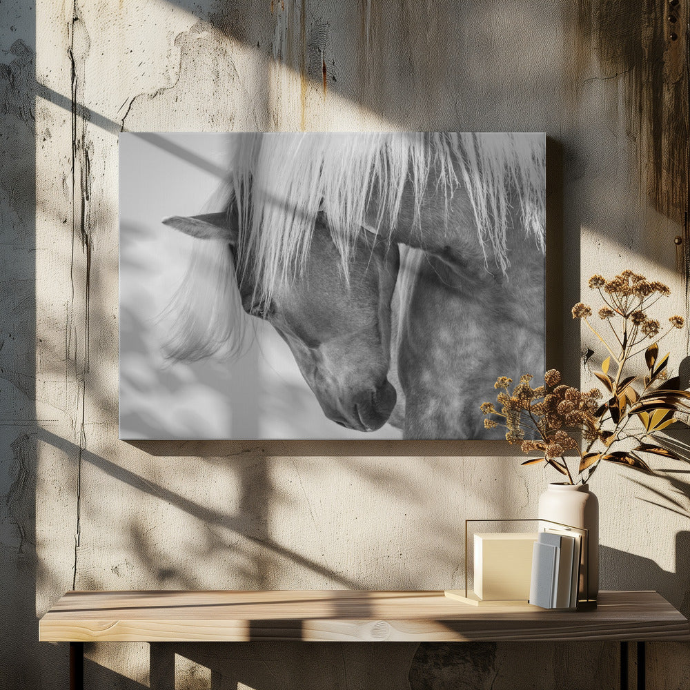 Haflinger-Porträt II | Leinwand