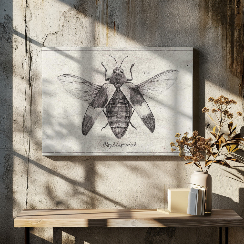 Komplexe Insektenskizze | Leinwand