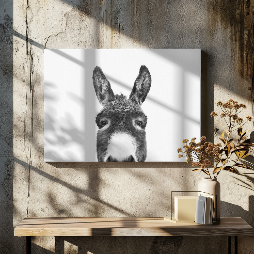 Guckender Esel SW | Leinwand