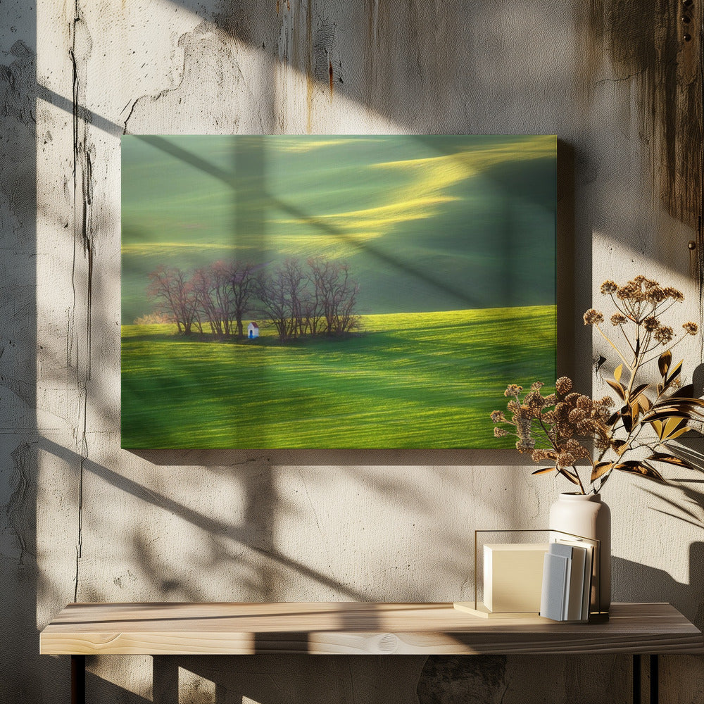 Felder... | Leinwand