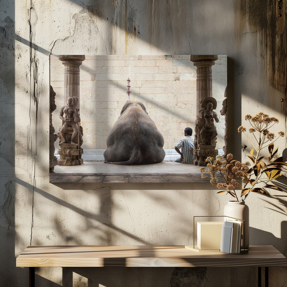 Der Elefant und sein Mahot | Leinwand