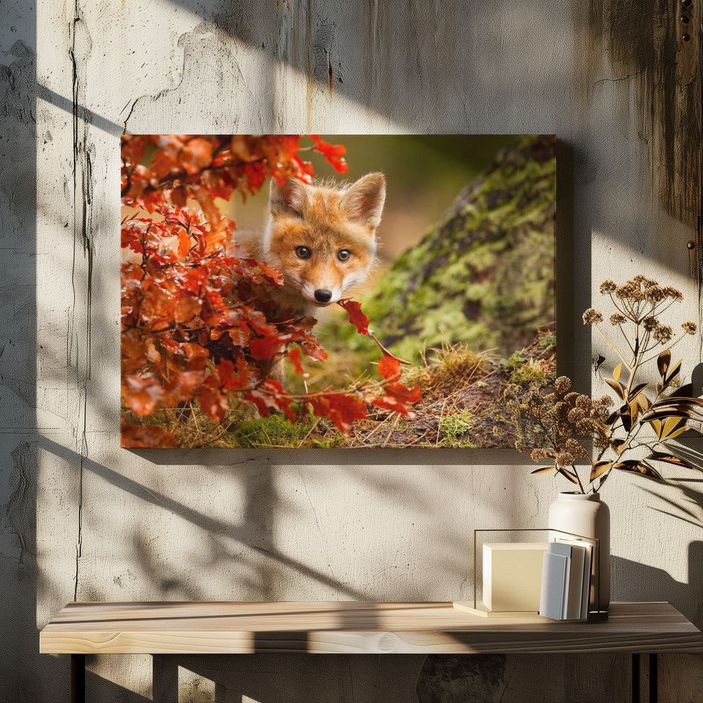 Fuchs | Leinwand