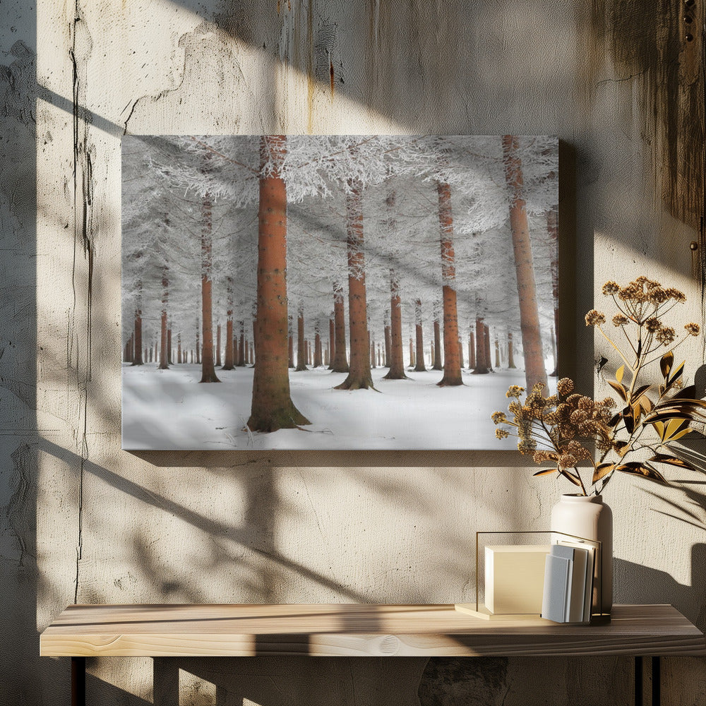 In White | Canvas
