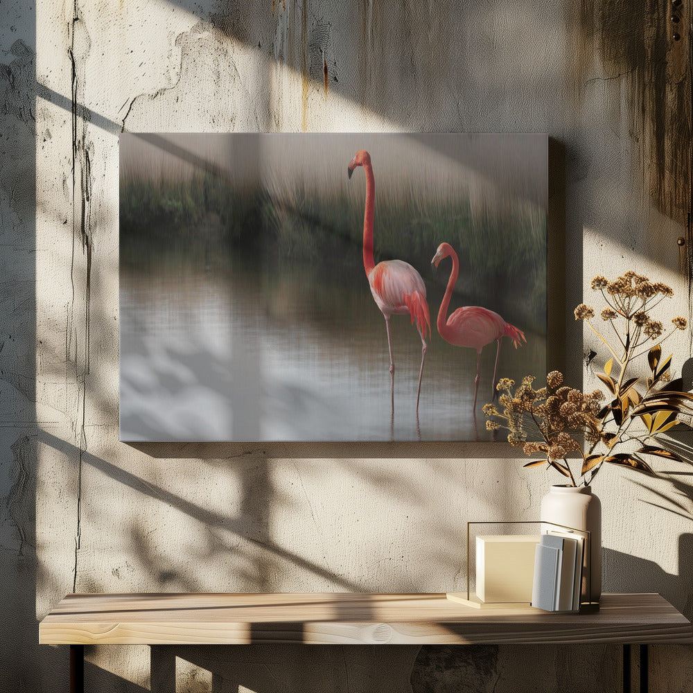 so zen ... | Canvas