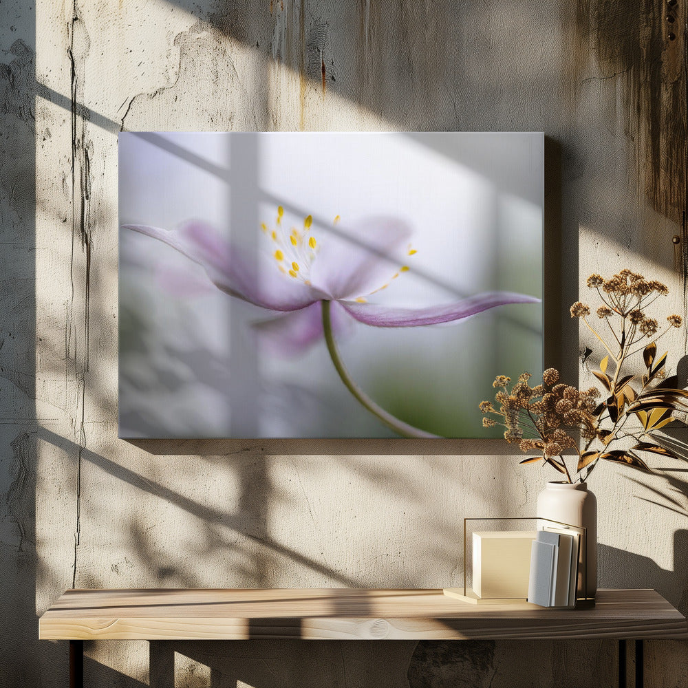 Nemorosa*** | Leinwand