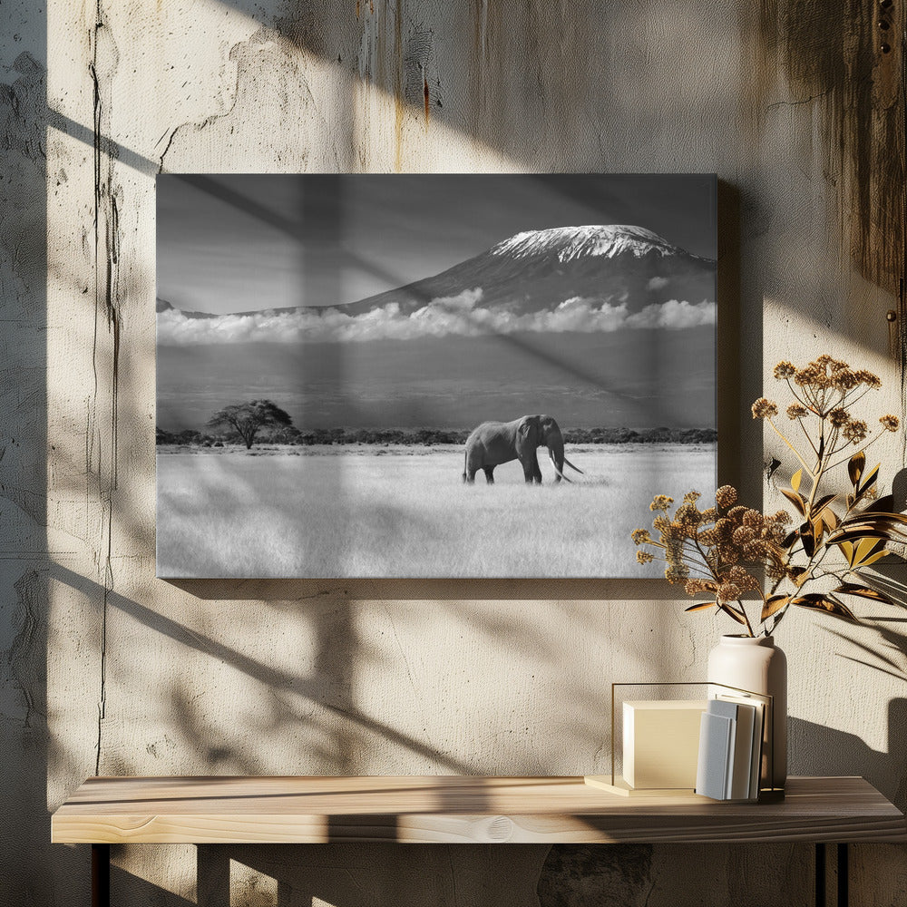 Verlorene Farben II | Leinwand