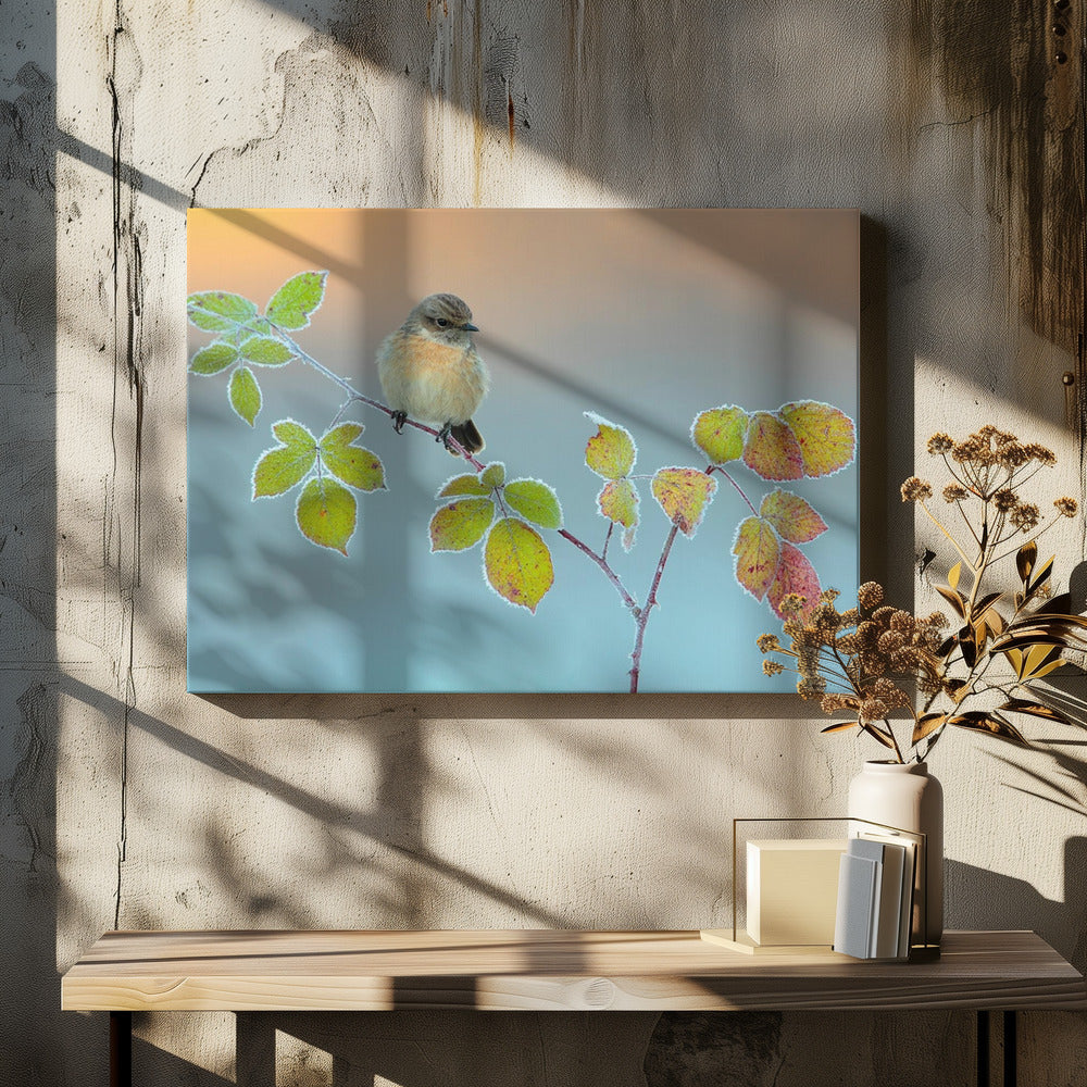 Winter colors | Canvas