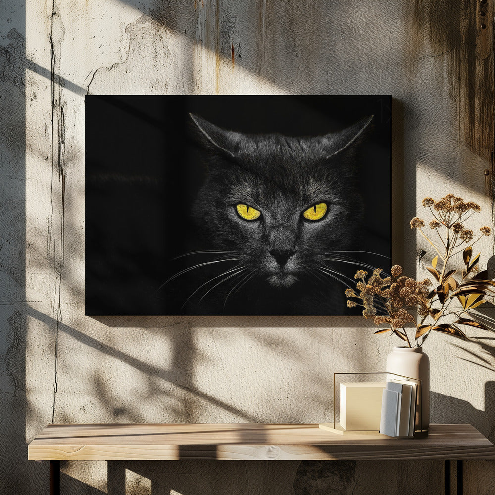 Schwarze Katze | Leinwand