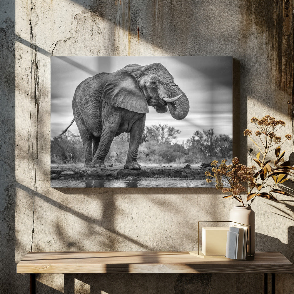 Standing Proud | Canvas