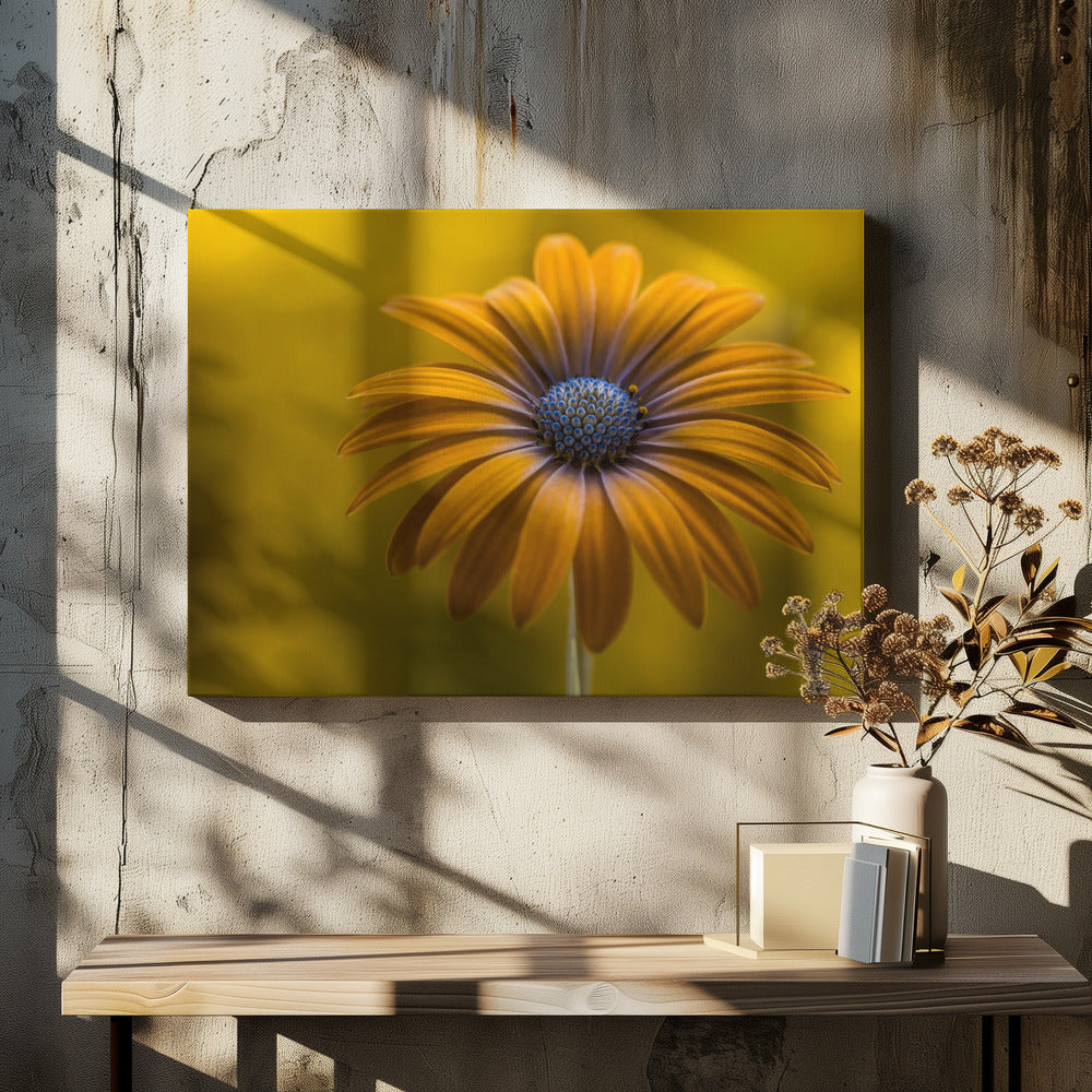 Sonnenschein-Gänseblümchen | Leinwand