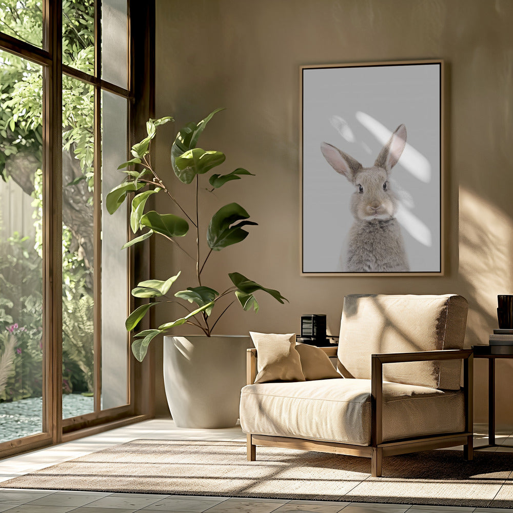 Baby-Kaninchen | Poster