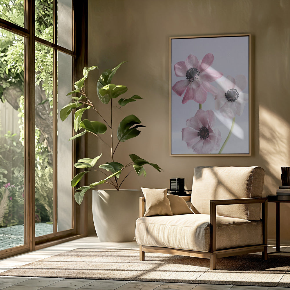 Elegant Pink Anemone Flowers | Poster