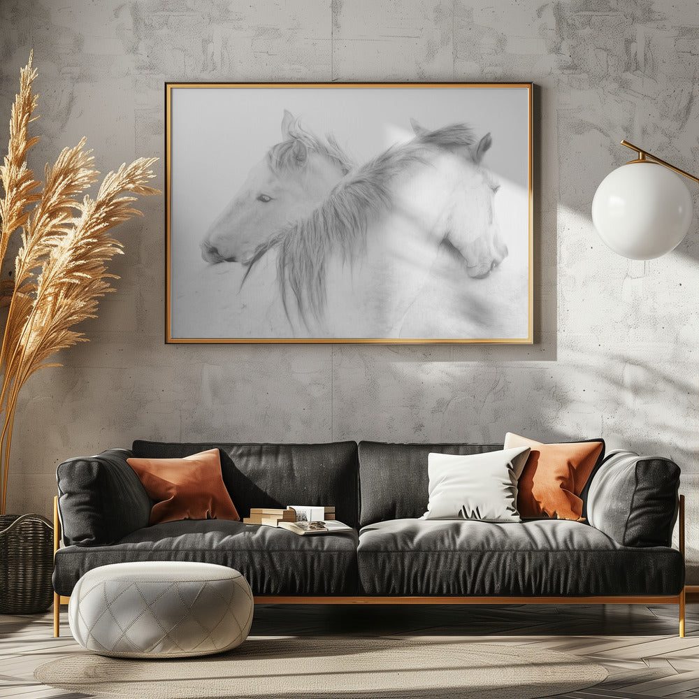 Horses | Canvas