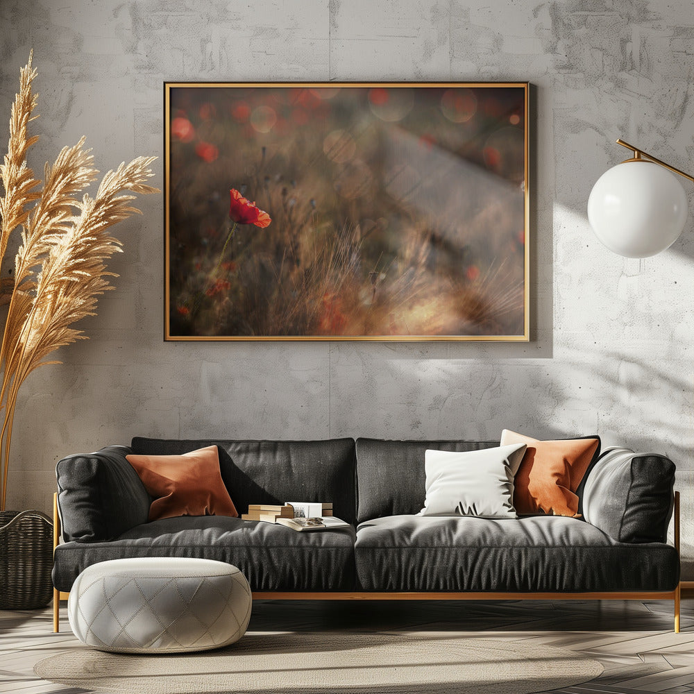 Mohn | Leinwand