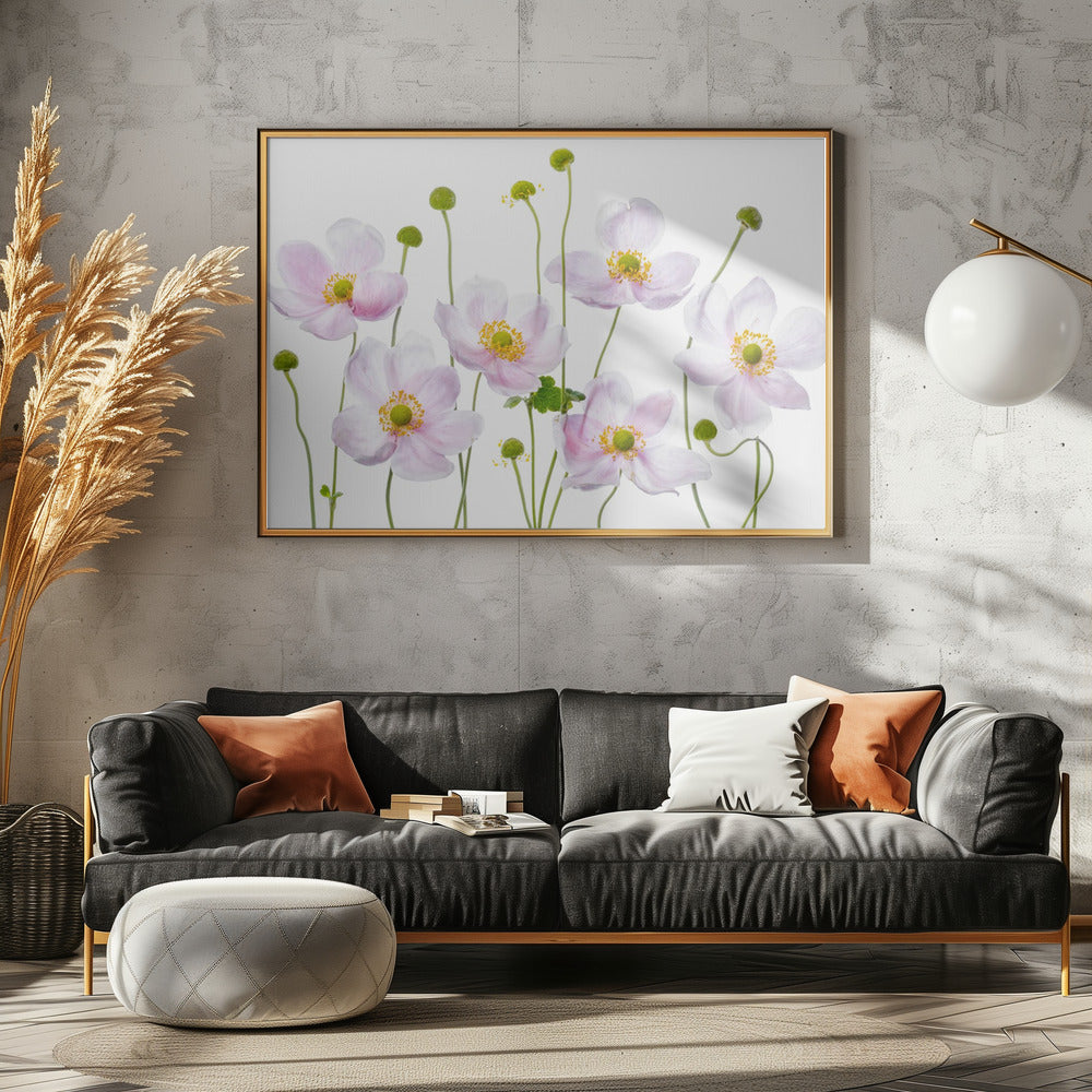 Japanische Anemonen | Leinwand