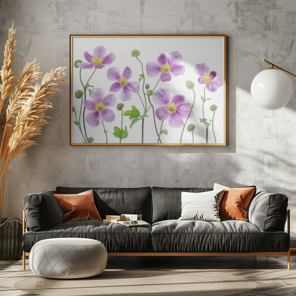 Anemone Japonica | Leinwand