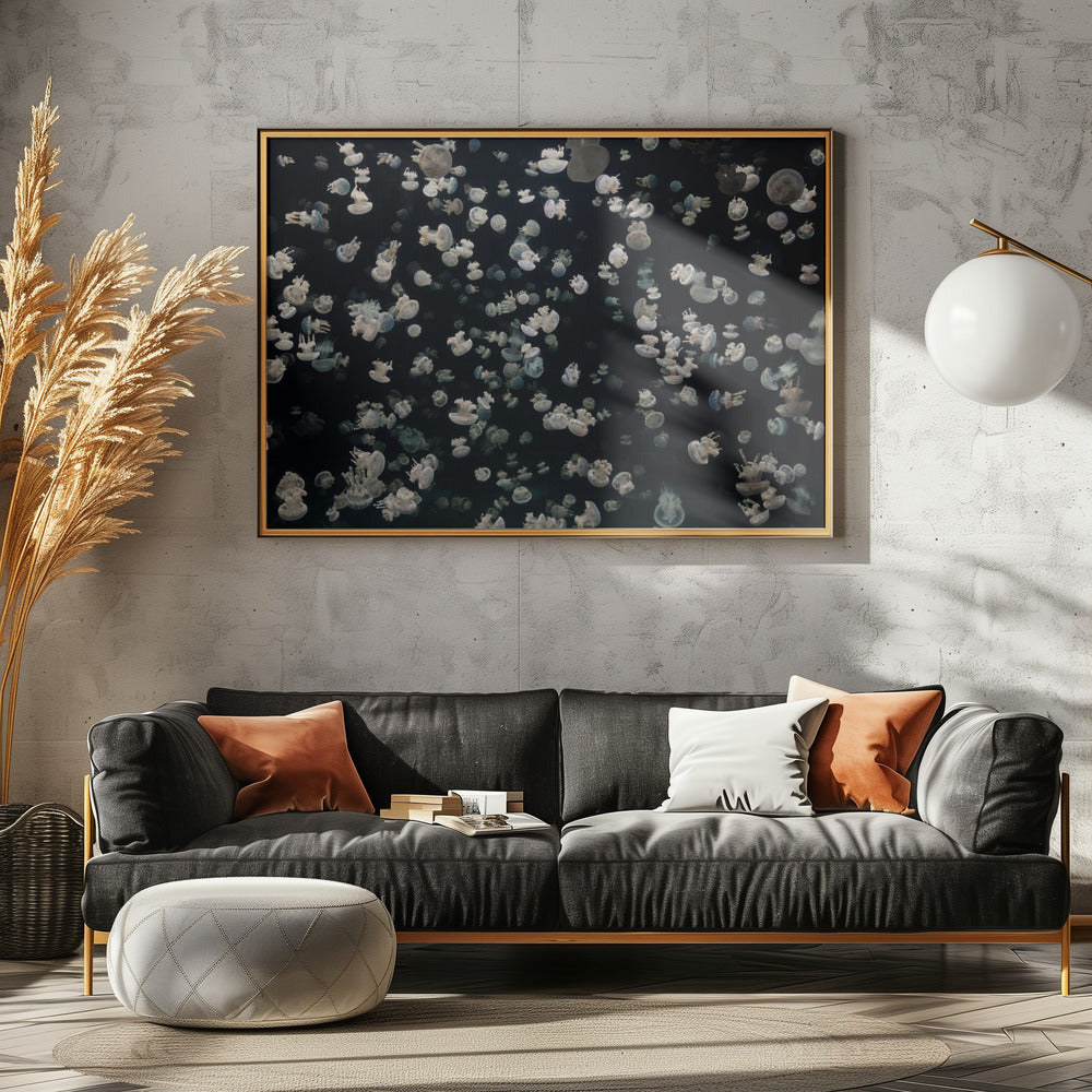 Just some Jellies | Canvas
