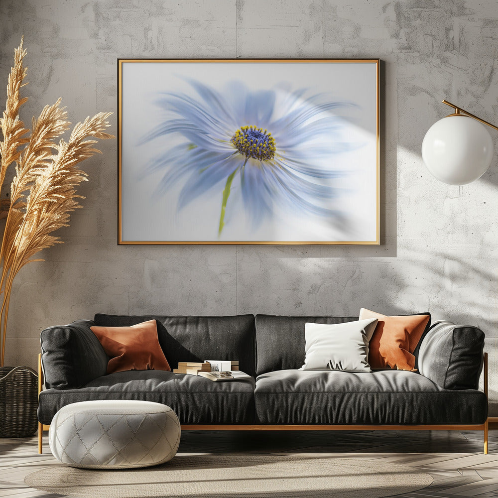 Gänseblümchen-Genuss | Poster
