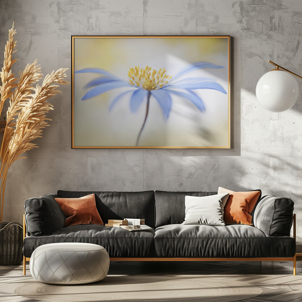 Anemone | Poster