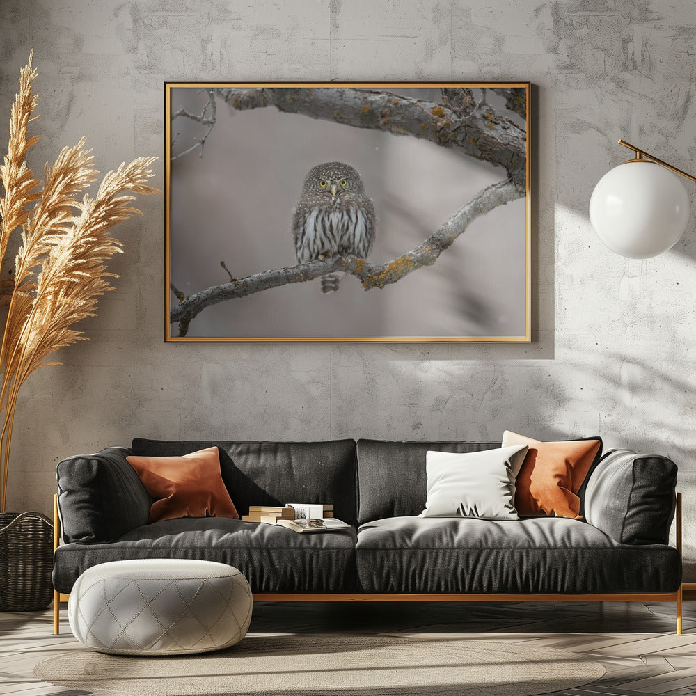 Kleiner Kerl im Schnee | Leinwand