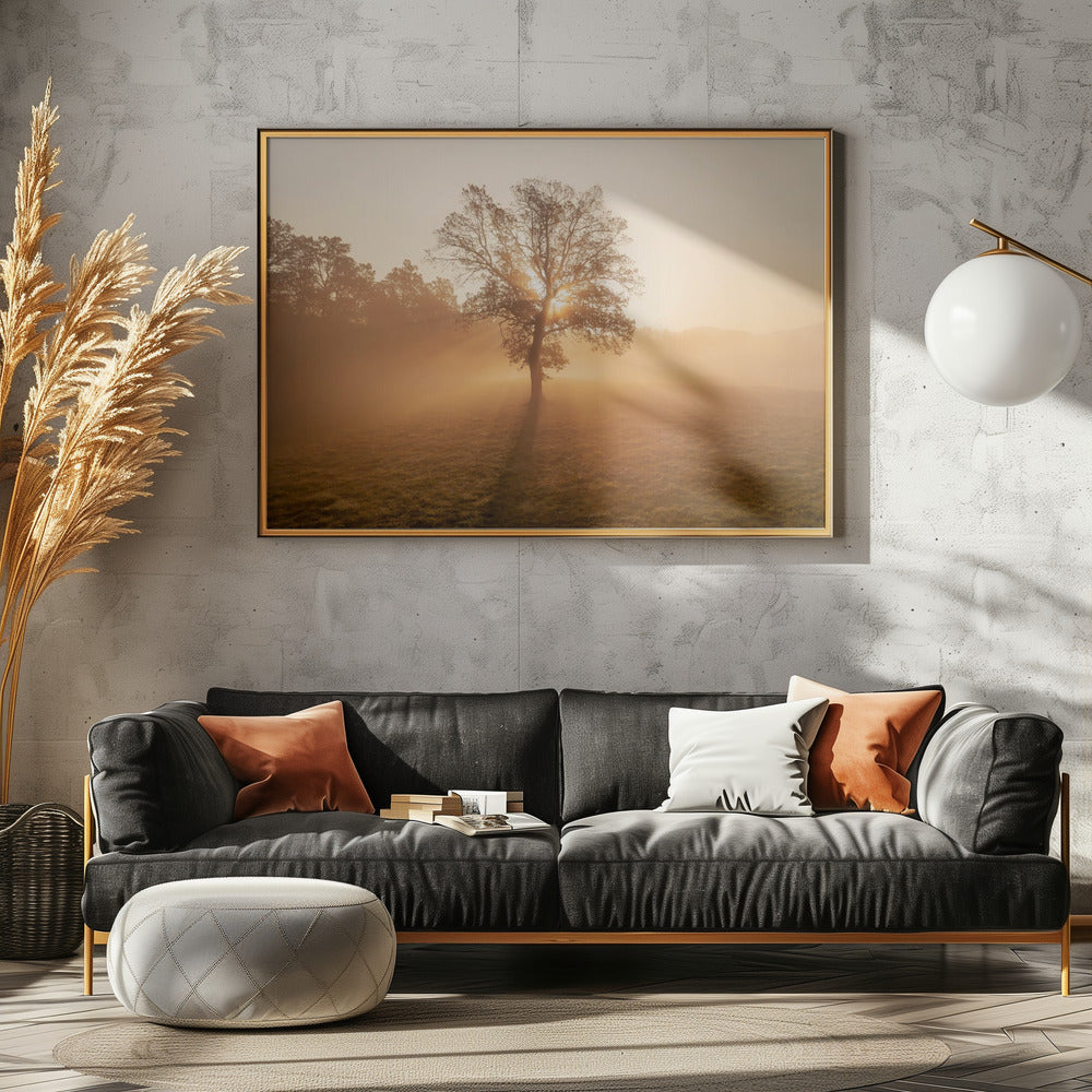 Lonely tree | Canvas