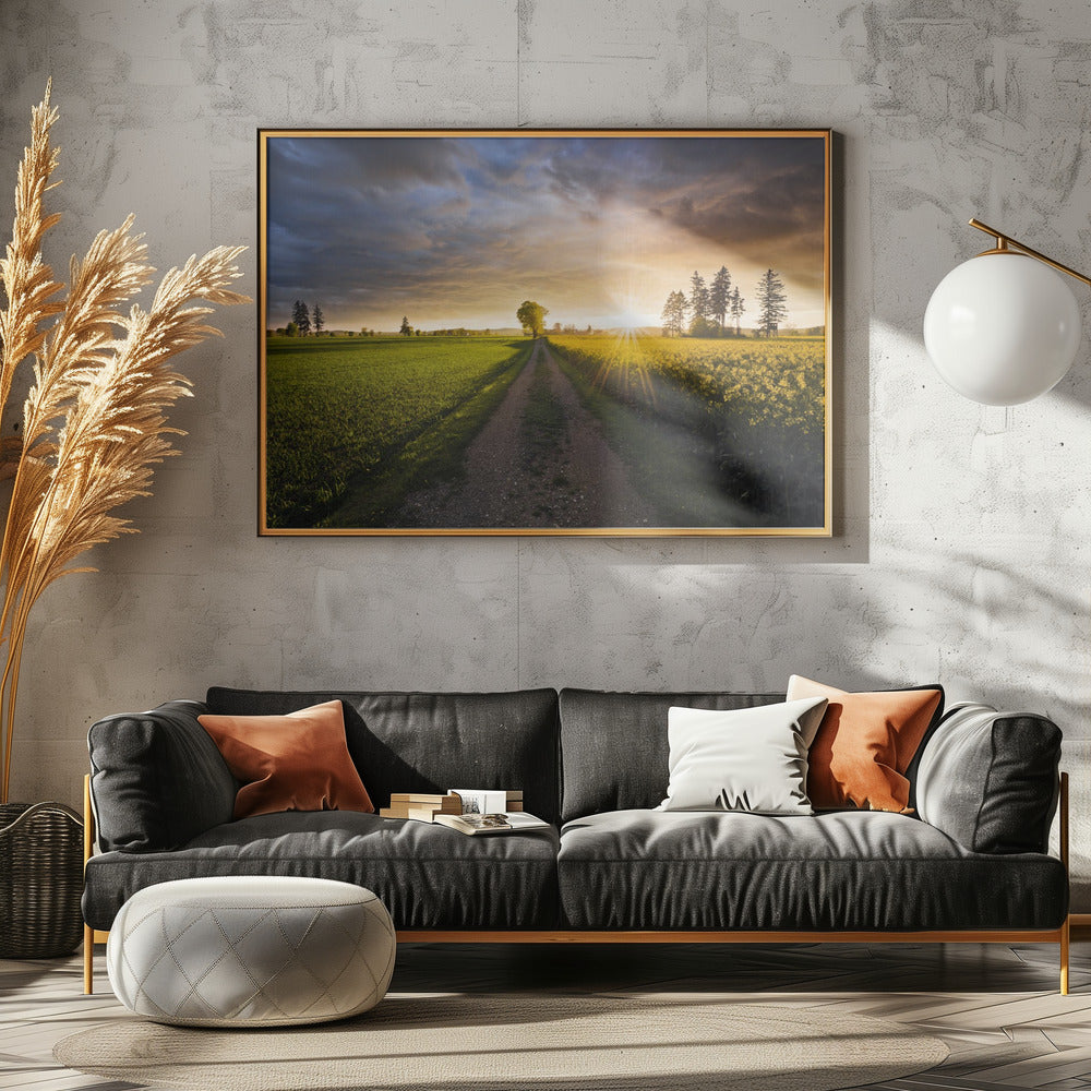 Sommerwiese | Leinwand