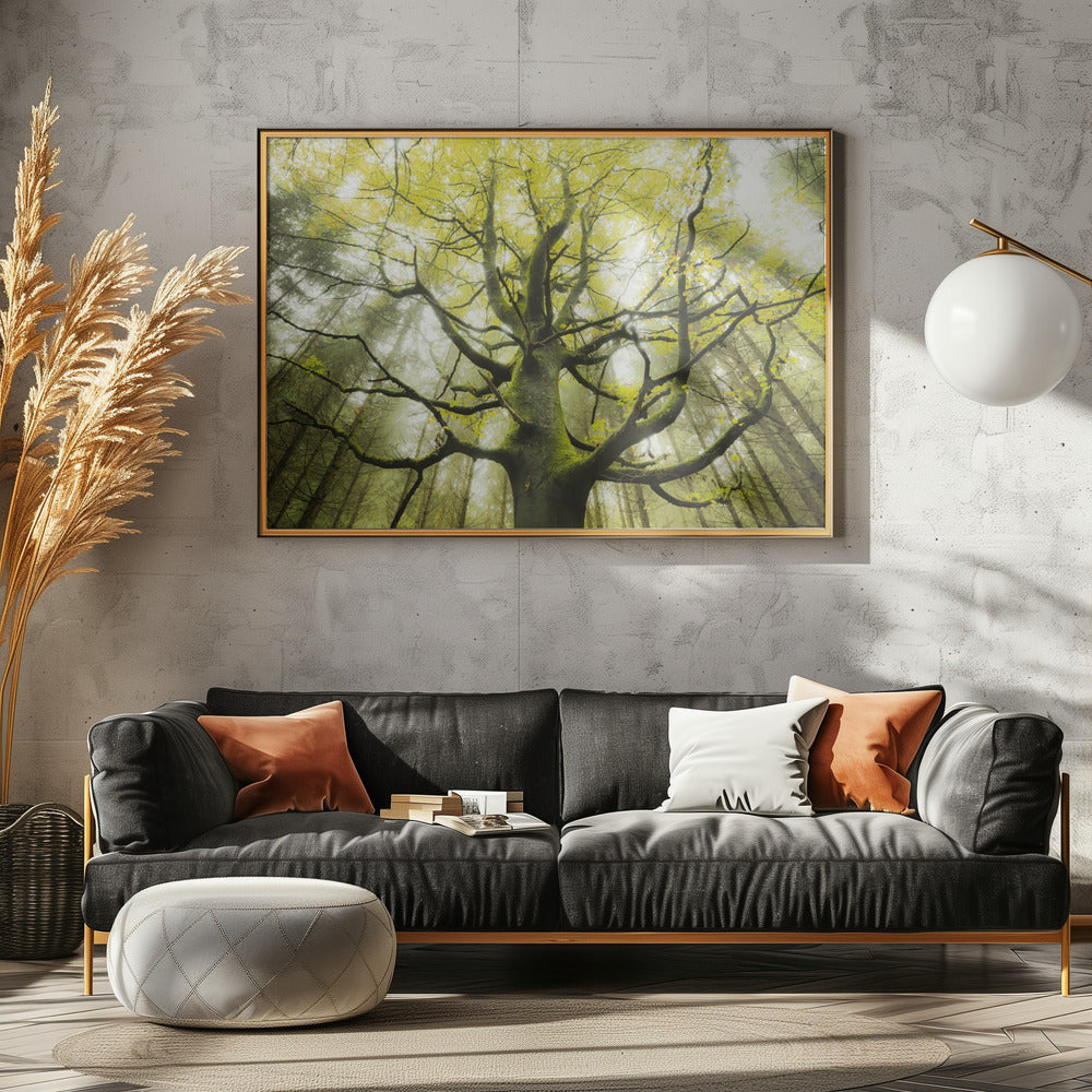 Der Traumbaum | Leinwand