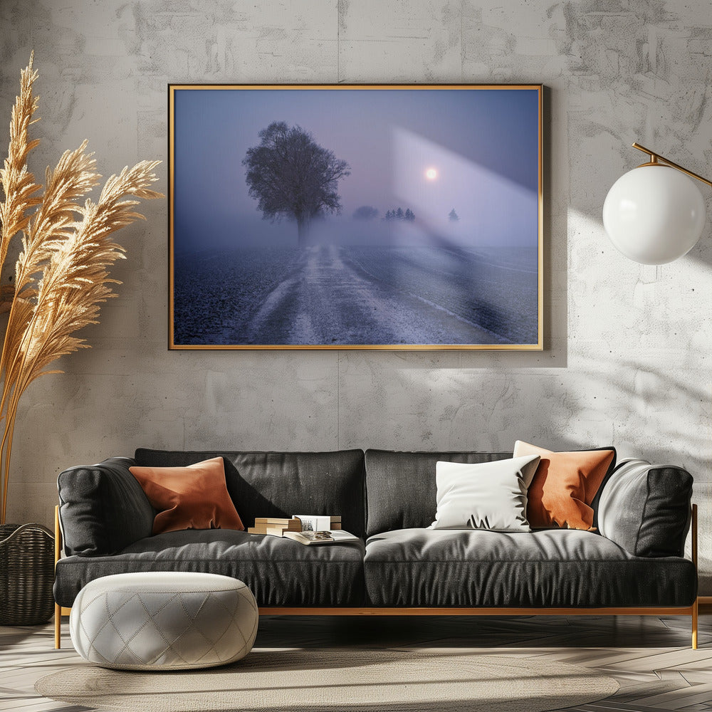 Mondbeleuchteter Pfad | Poster