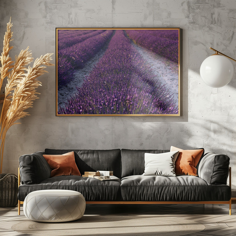 Lavendeldetail | Leinwand