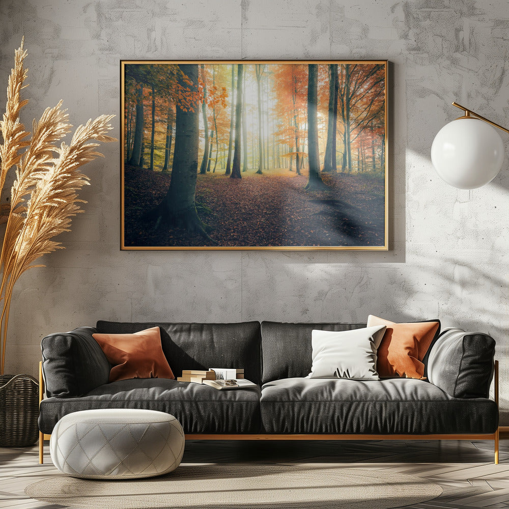 Autumn in the Woods | Canvas