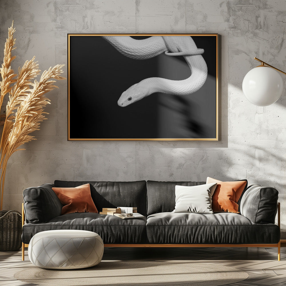 Serpent Blanc | Leinwand
