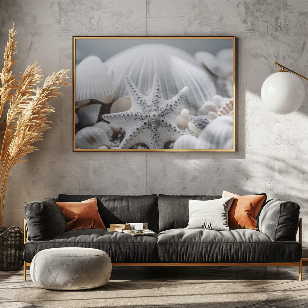 Muschelsymphonie | Leinwand
