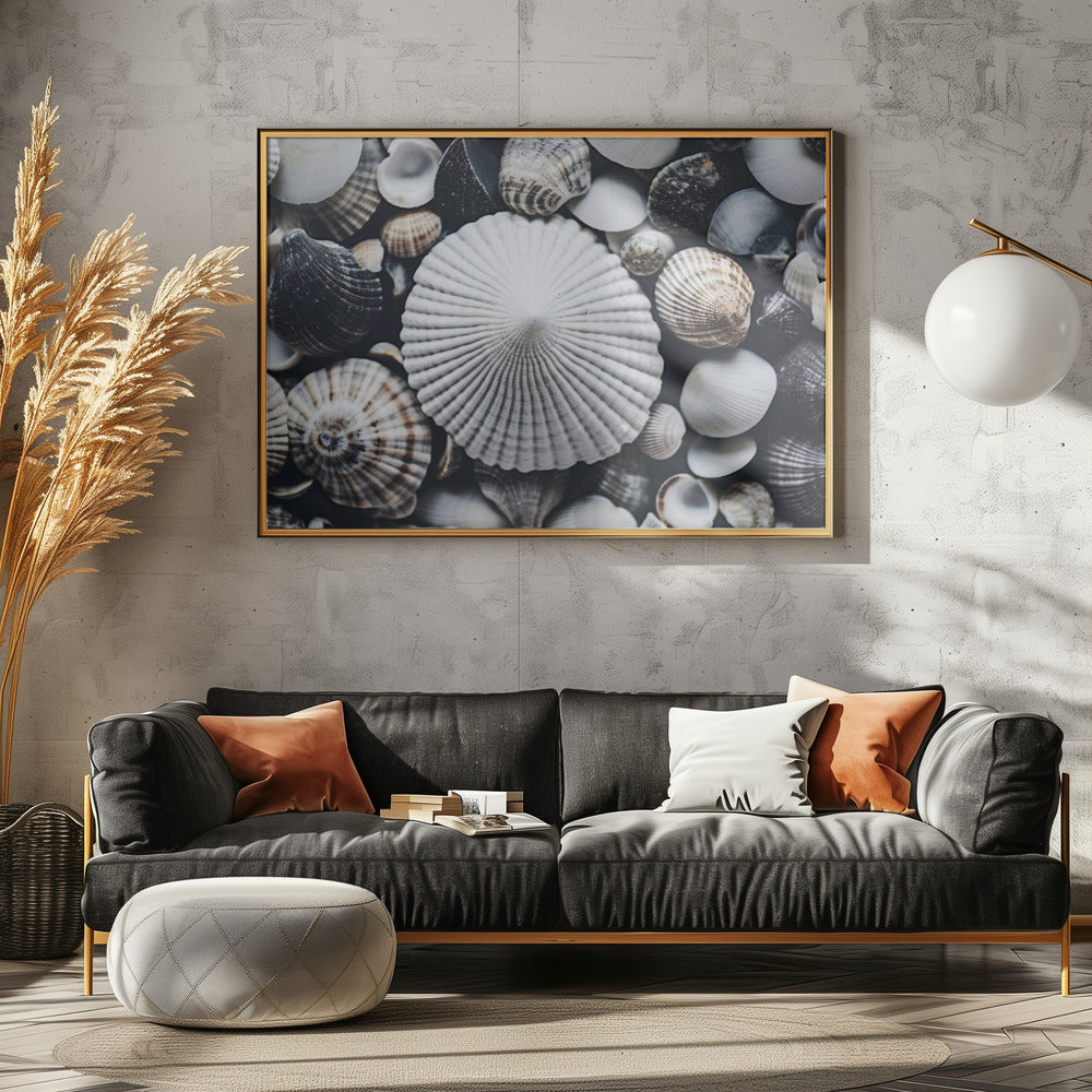 Muschelsymphonie | Leinwand