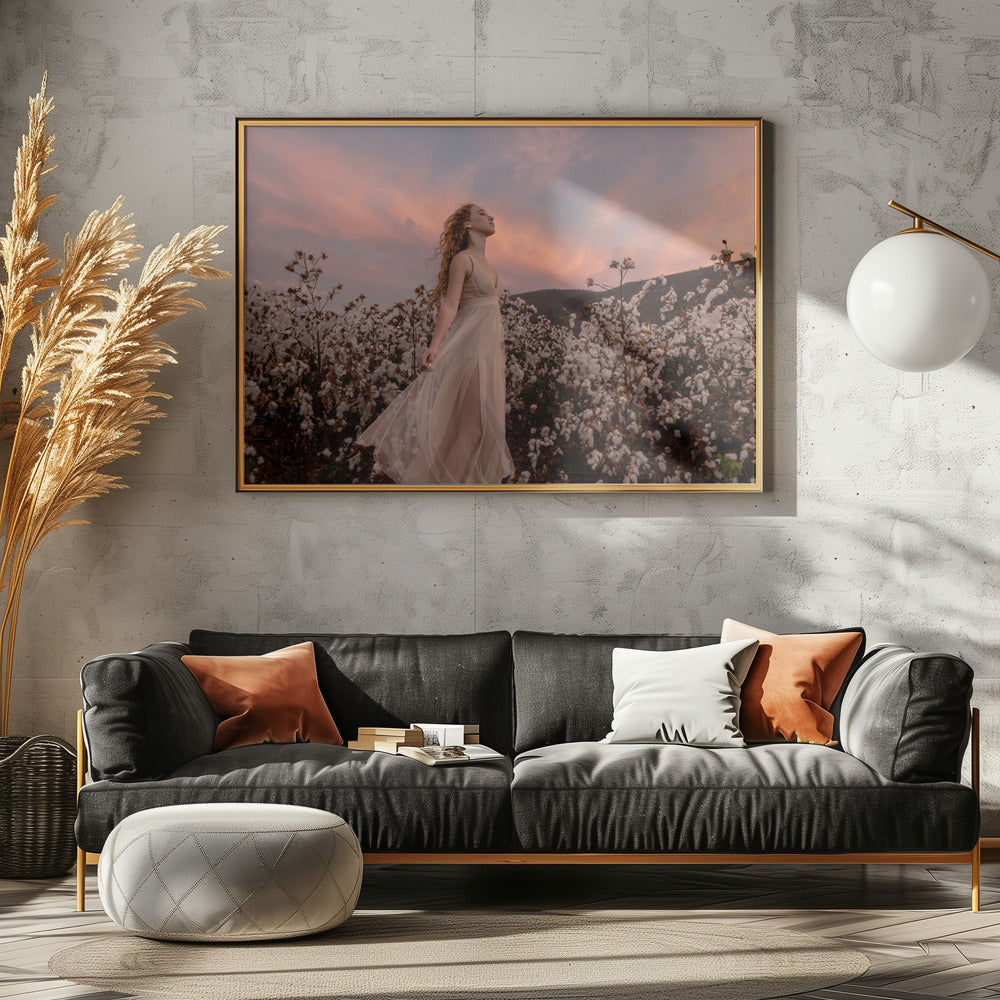 Sonnenuntergang im Baumwollfeld | Poster
