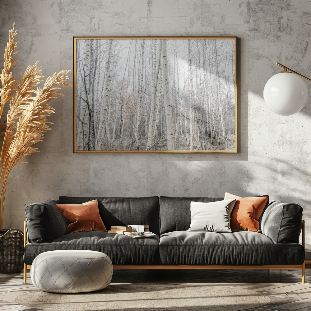 Birch Trees 9 | Poster