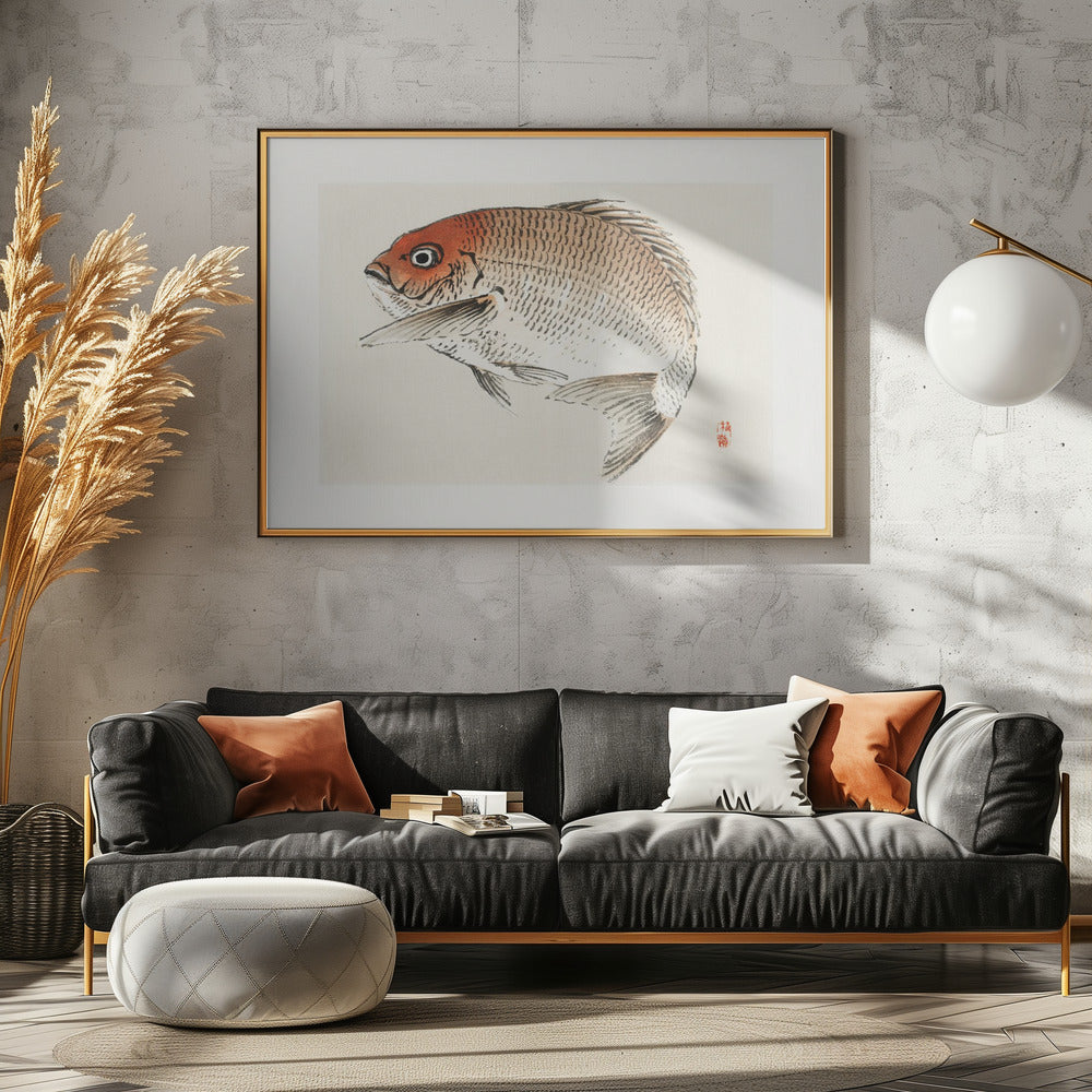 Tai (Rote Meerbrasse) Fisch | Leinwand