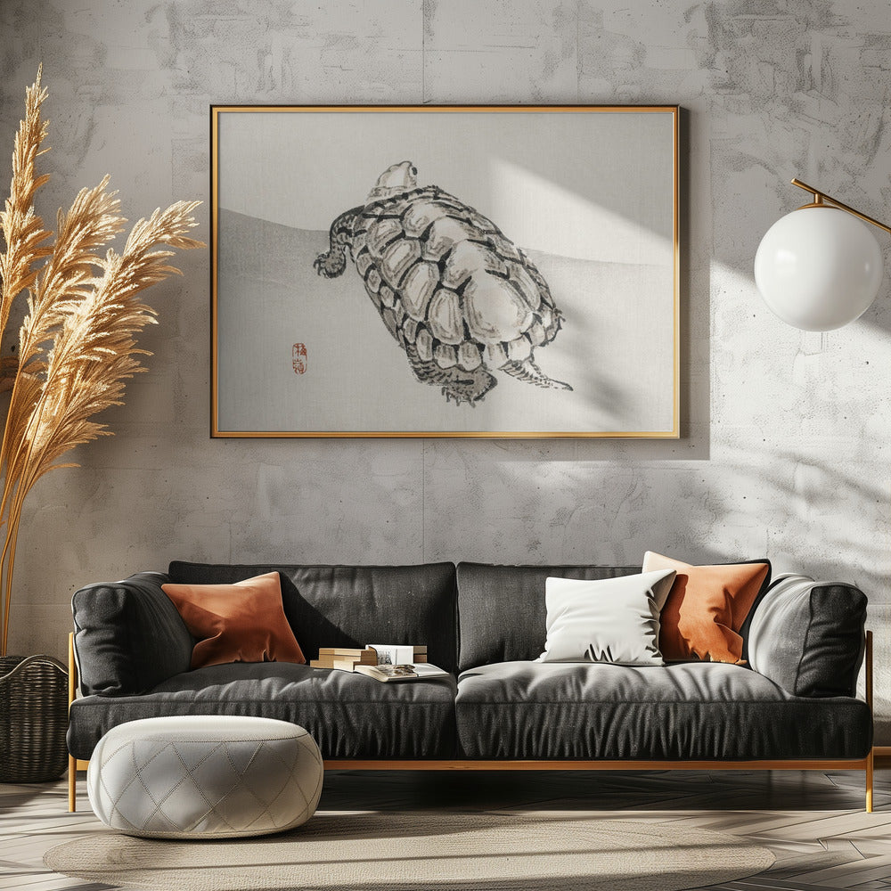 Schildkröte | Leinwand