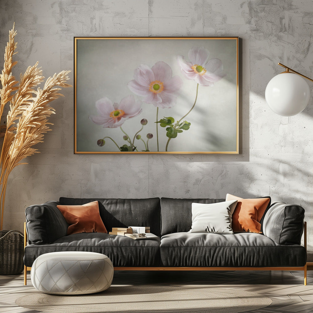 Anemones | Canvas