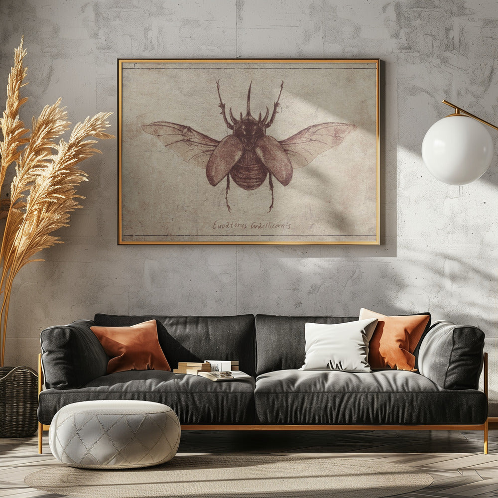 Eupatorus Gracilicornis Kopie | Poster