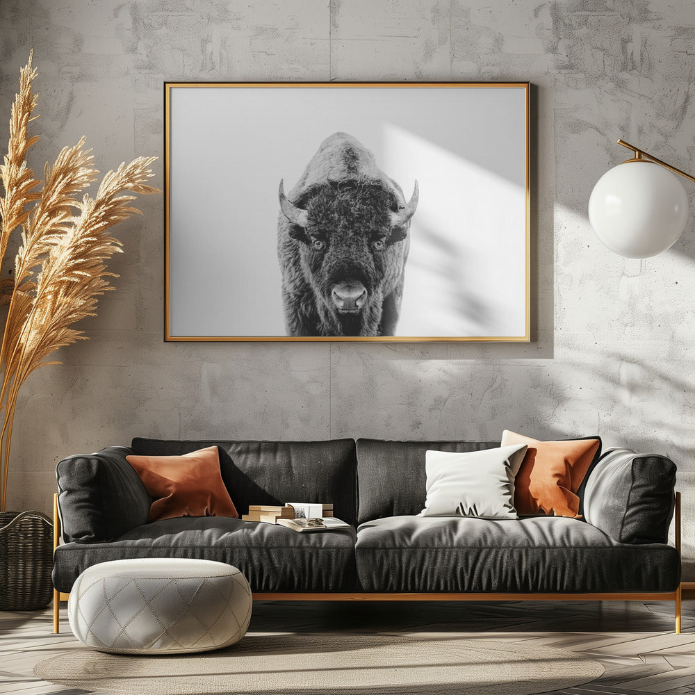 Bison Bw | Leinwand