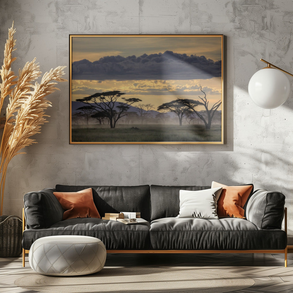 Good evening tanazania | Canvas