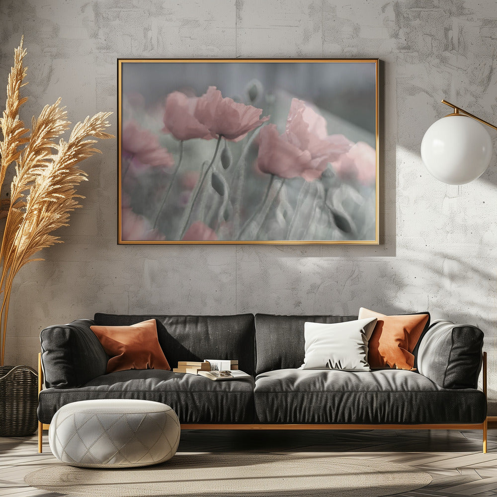 Softly | Poster