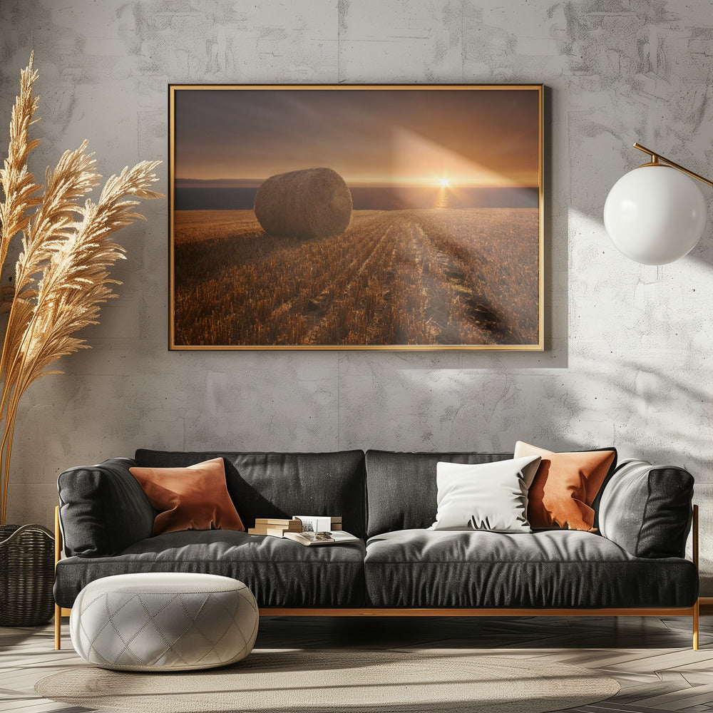 Gold Harvest | Canvas