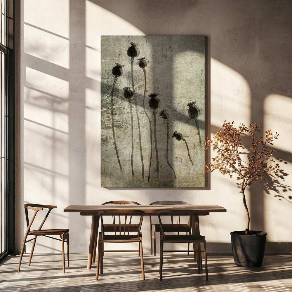 Poppy seedlings | Canvas