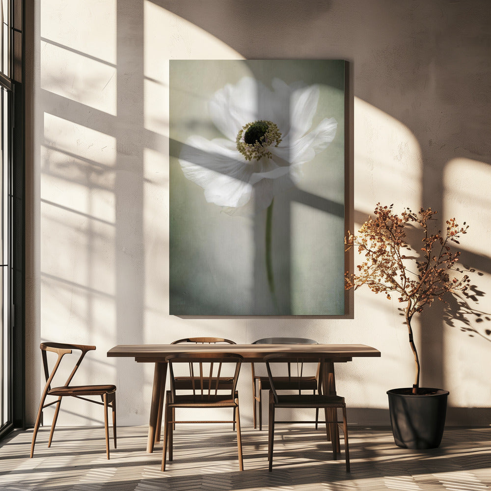 Single White | Canvas